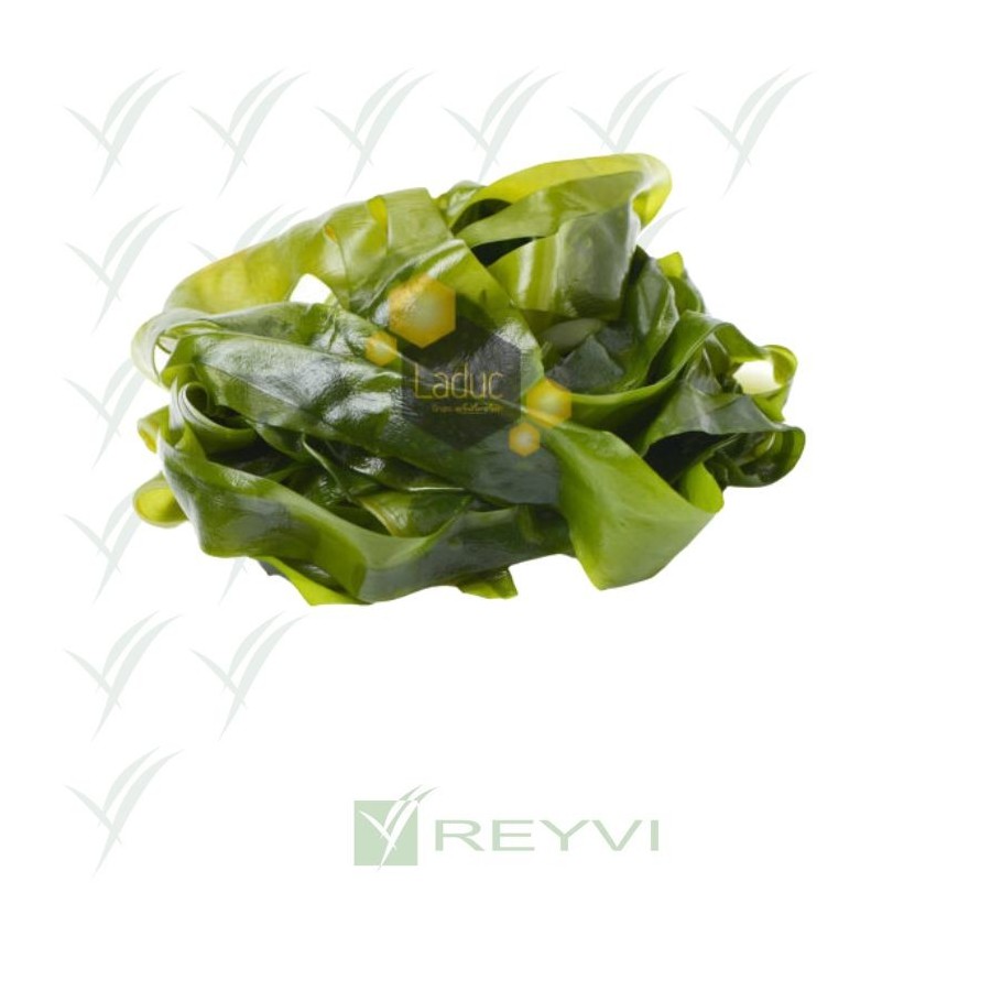 ALGA WAKAME 200 GR C/5 UD