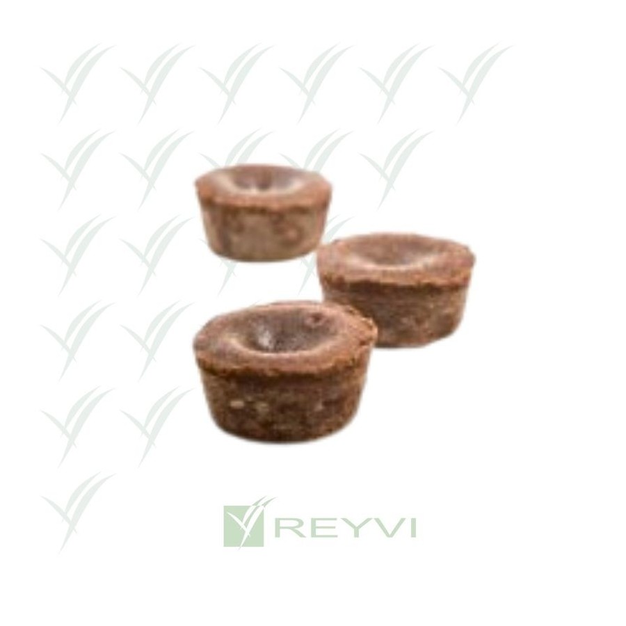 Mini coulant de chocolate 30 gr