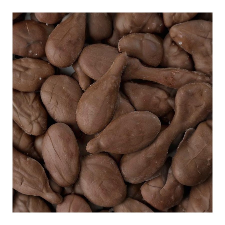 SUCEDANEO LECHE SUPERBRILL CAJA 10 KG