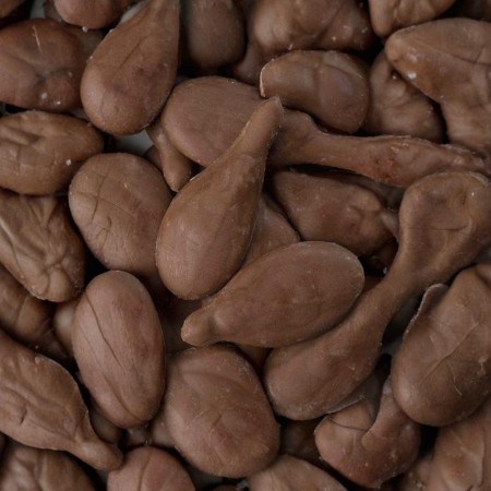 SUCEDANEO LECHE SUPERBRILL CAJA 10 KG