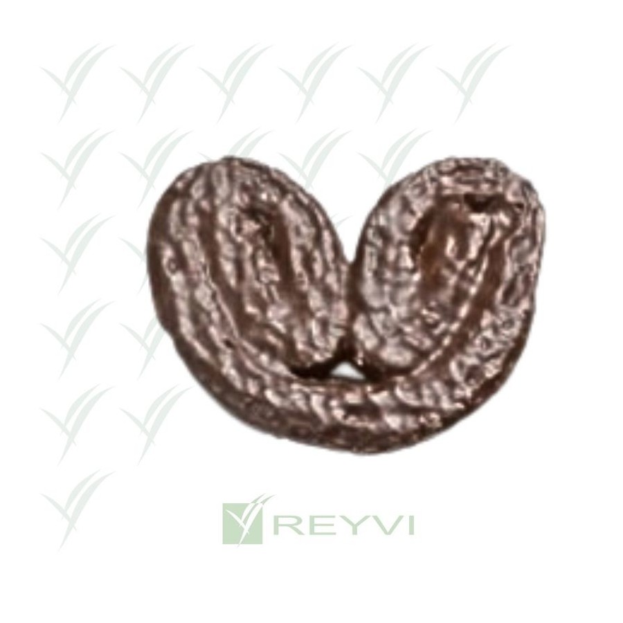 SIN GLUTEN PALMERA CACAO BERLYS C/40 UD