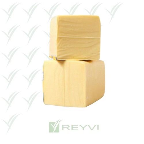 DEBIC QUESO GOUDA BARRA 3 KG (C/4)