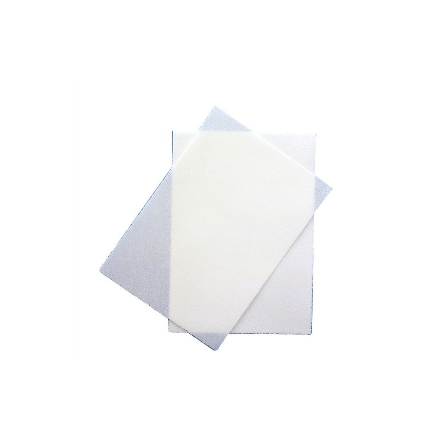 OBLEA LISA IMPRIMIR 21x29,4 P/50 UD DEK