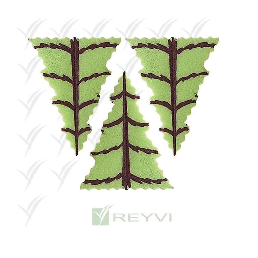 PINO OBLEA VERDE B/200 UD DEK