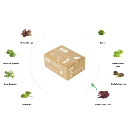 CAJA 4x250 gr GRAN SELECCION BROTES