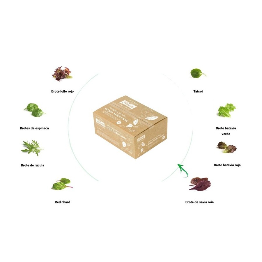 CAJA 4x250 gr GRAN SELECCION BROTES