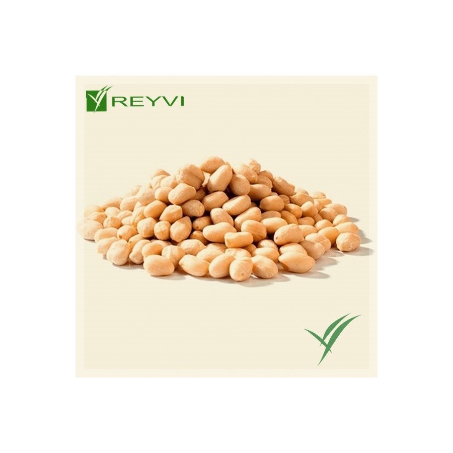 CACAHUETE REPELADO SALADO B/1 KG