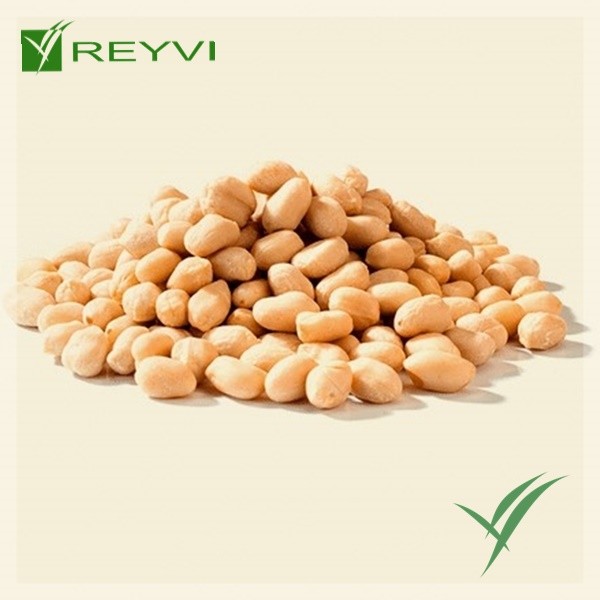 CACAHUETE REPELADO SALADO B/1 KG