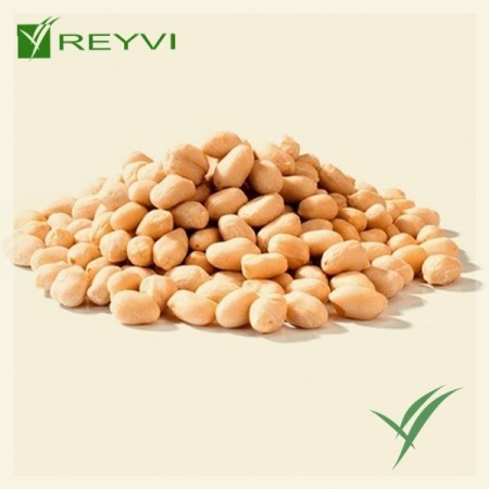 CACAHUETE REPELADO SALADO B/1 KG