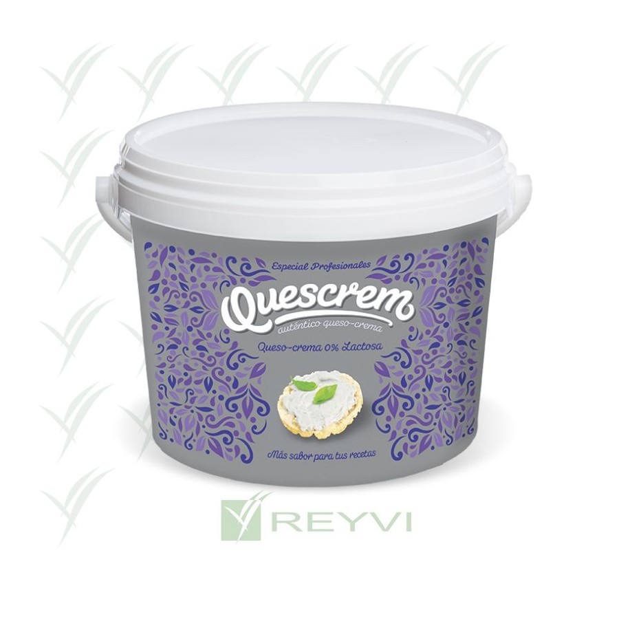 QUESO CREMA SIN LACTOSA CUBO 2 KG