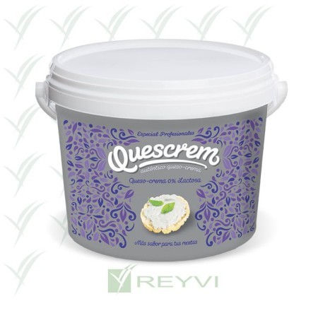 QUESO CREMA SIN LACTOSA CUBO 2 KG