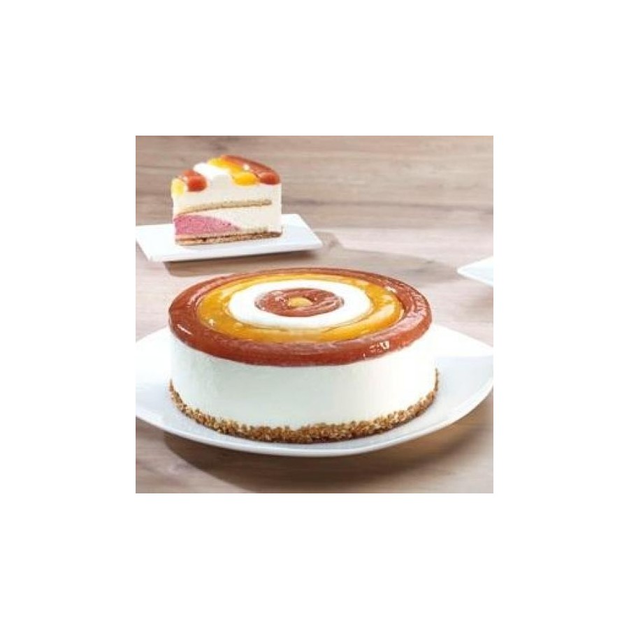 FOND YOGHURT NATA BOLSA 2,5 KG IRE (C/2)