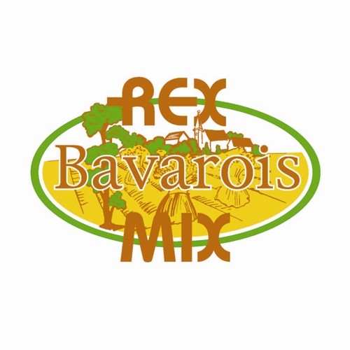 REX BAVAROIS MIX S/25 KG