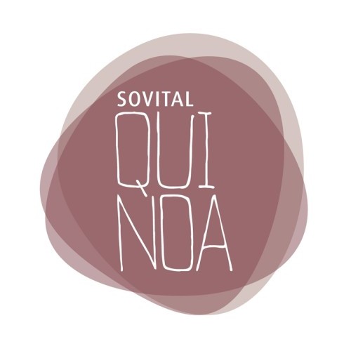 IREKS QUINOA SOVITAL S/12,5 KG