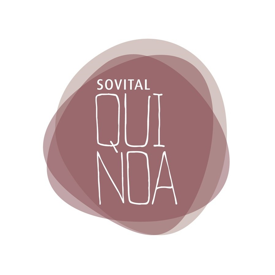 IREKS QUINOA SOVITAL S/12,5 KG