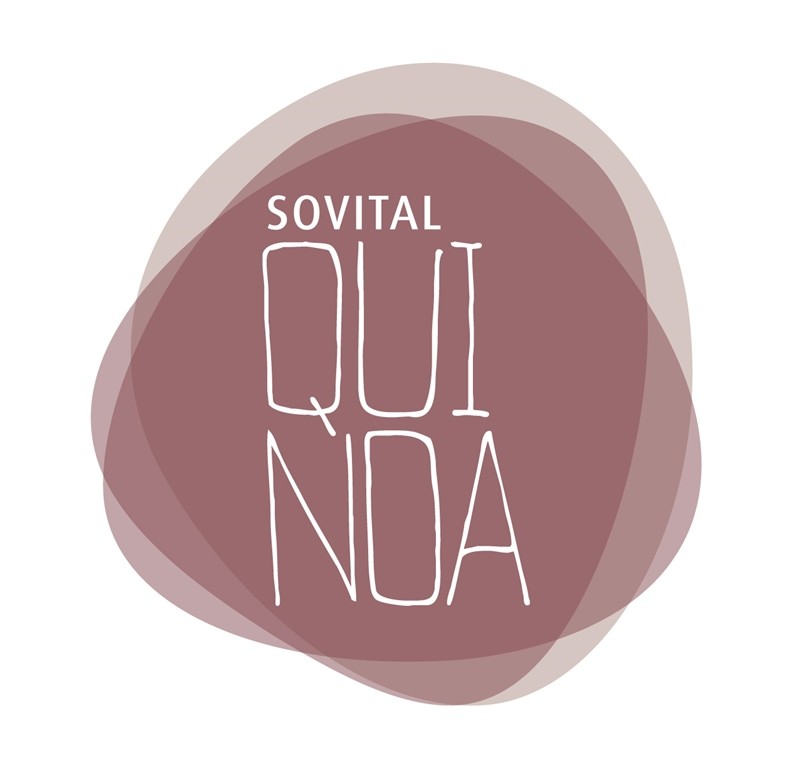 IREKS QUINOA SOVITAL S/12,5 KG