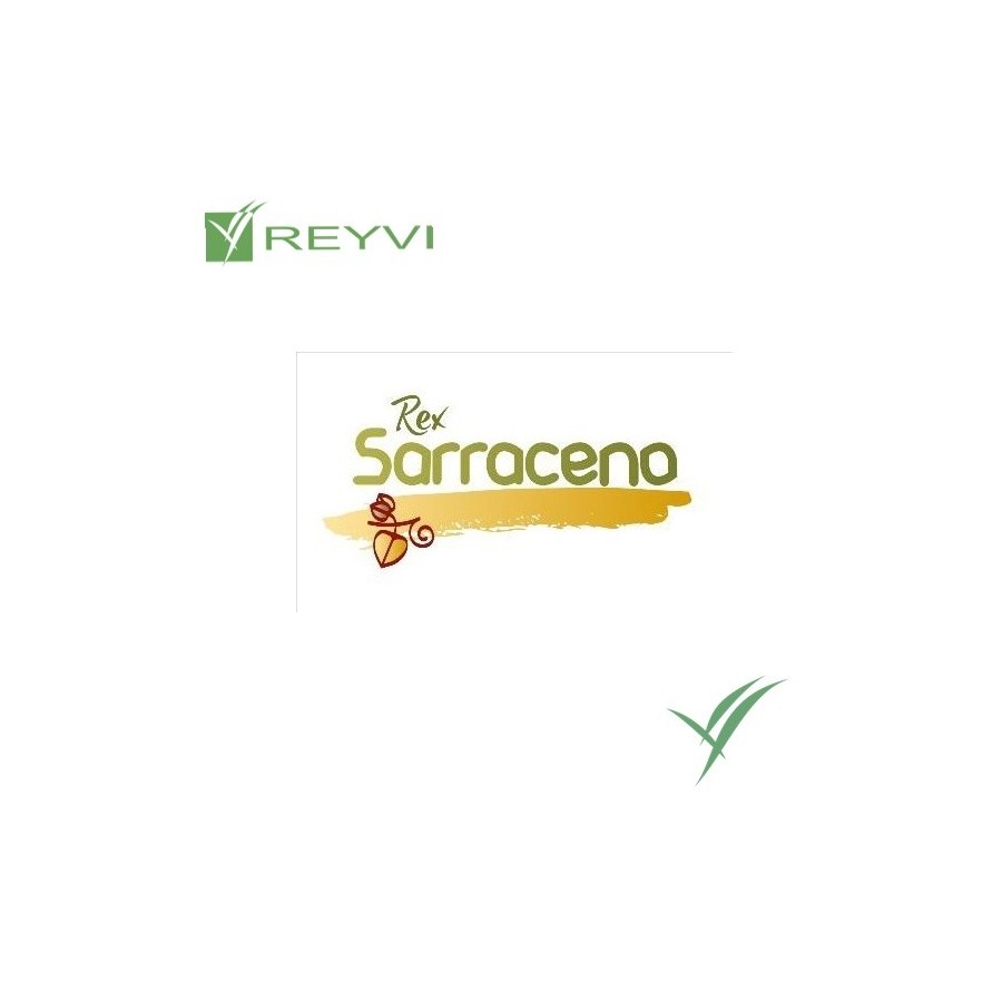 IREKS REX SARRACENO SACO 12,5 KG
