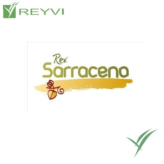 IREKS REX SARRACENO SACO 12,5 KG