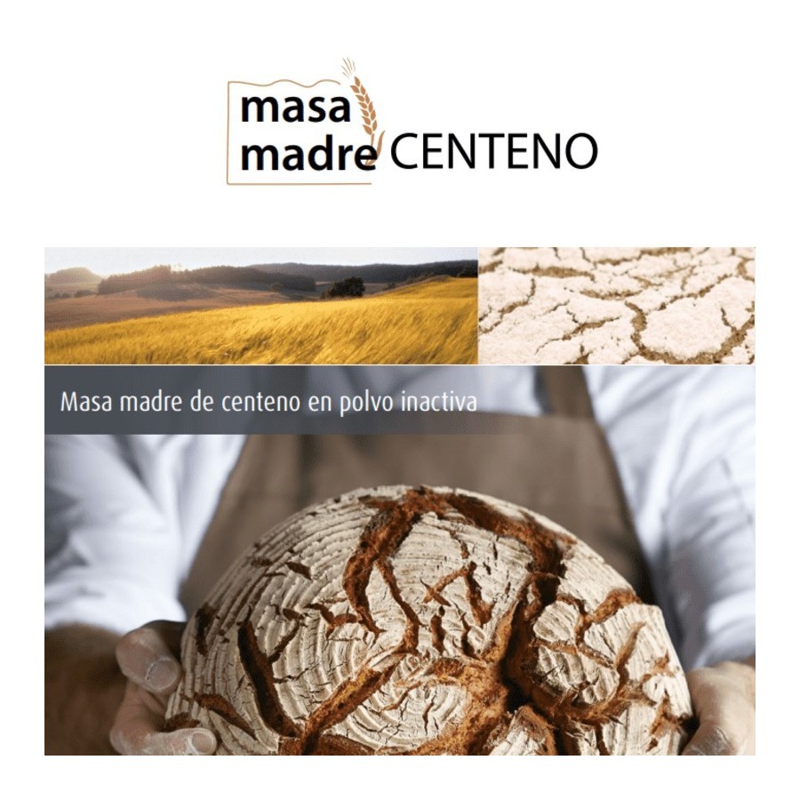 MASA MADRE CENTENO S/12,5 KG