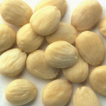 ALMENDRA MARCONA14/16 REP CAJA 10 KG