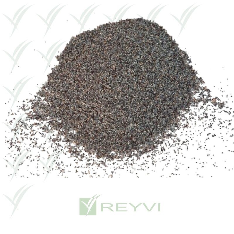 SEMILLA DE AMAPOLA PQTE 1 KG (C/15)