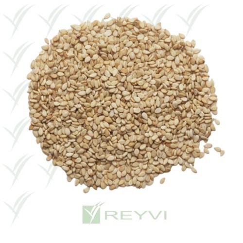 SEMILLA SESAMO DORADO PQTE 1 KG (C/15) (AJONJOLI)