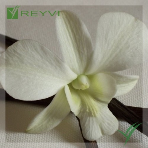 VAINILLINA CRISTAL BOTE 700 GR (C/4)