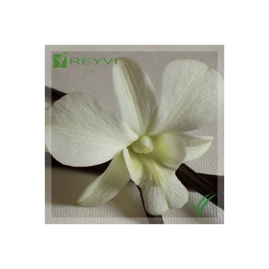 VAINILLINA CRISTALIZADA  BOTE 700 GR (C/4)