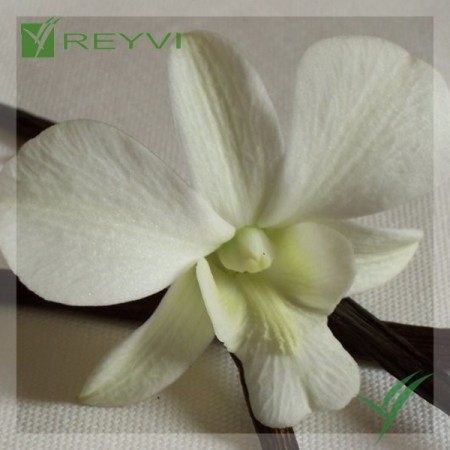 VAINILLINA CRISTAL BOTE 700 GR (C/4)