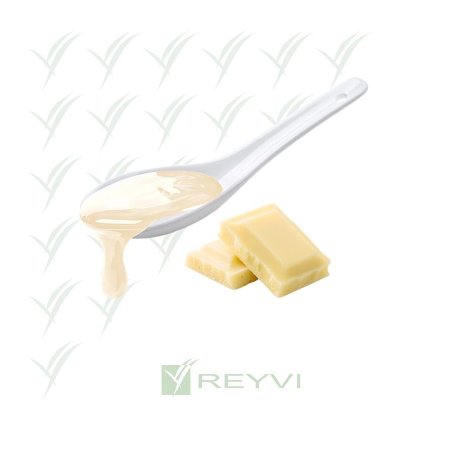 C/8x1 KG SALSA DIP CHOCOLATE BLANCO