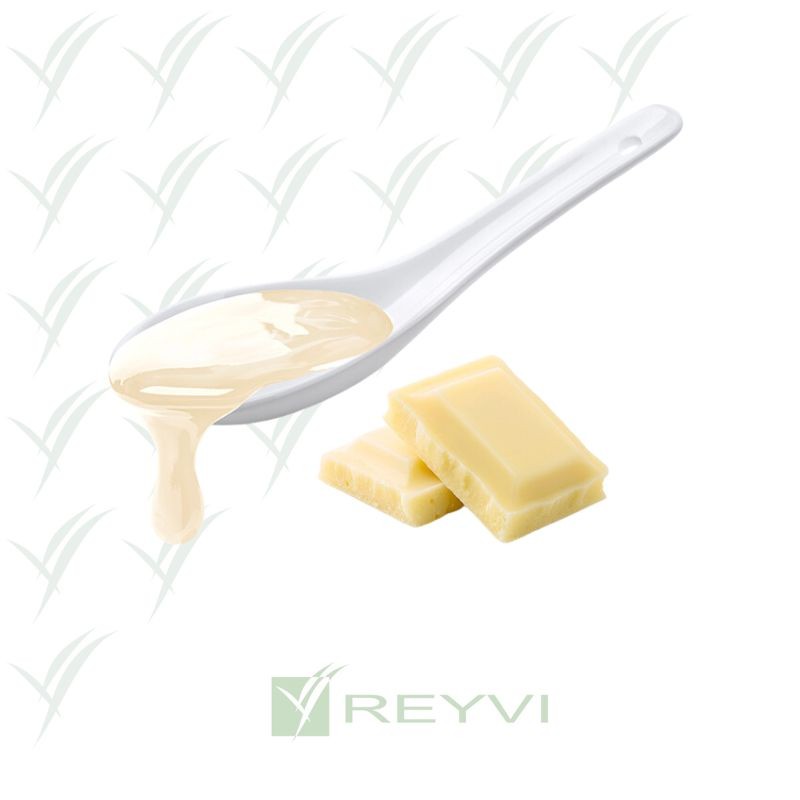 C/8x1 KG SALSA DIP CHOCOLATE BLANCO