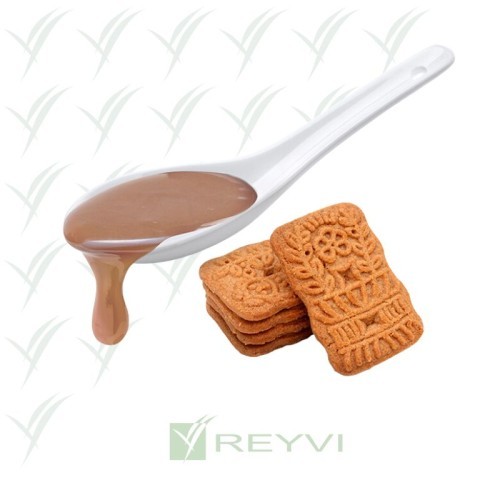 C/8x1 KG SALSA DIP SPECULOOS