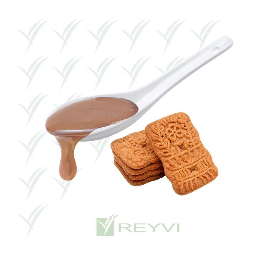 C/8x1 KG SALSA DIP SPECULOOS