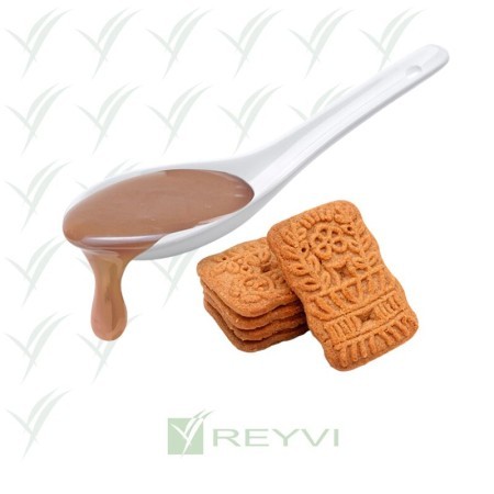 C/8x1 KG SALSA DIP SPECULOOS