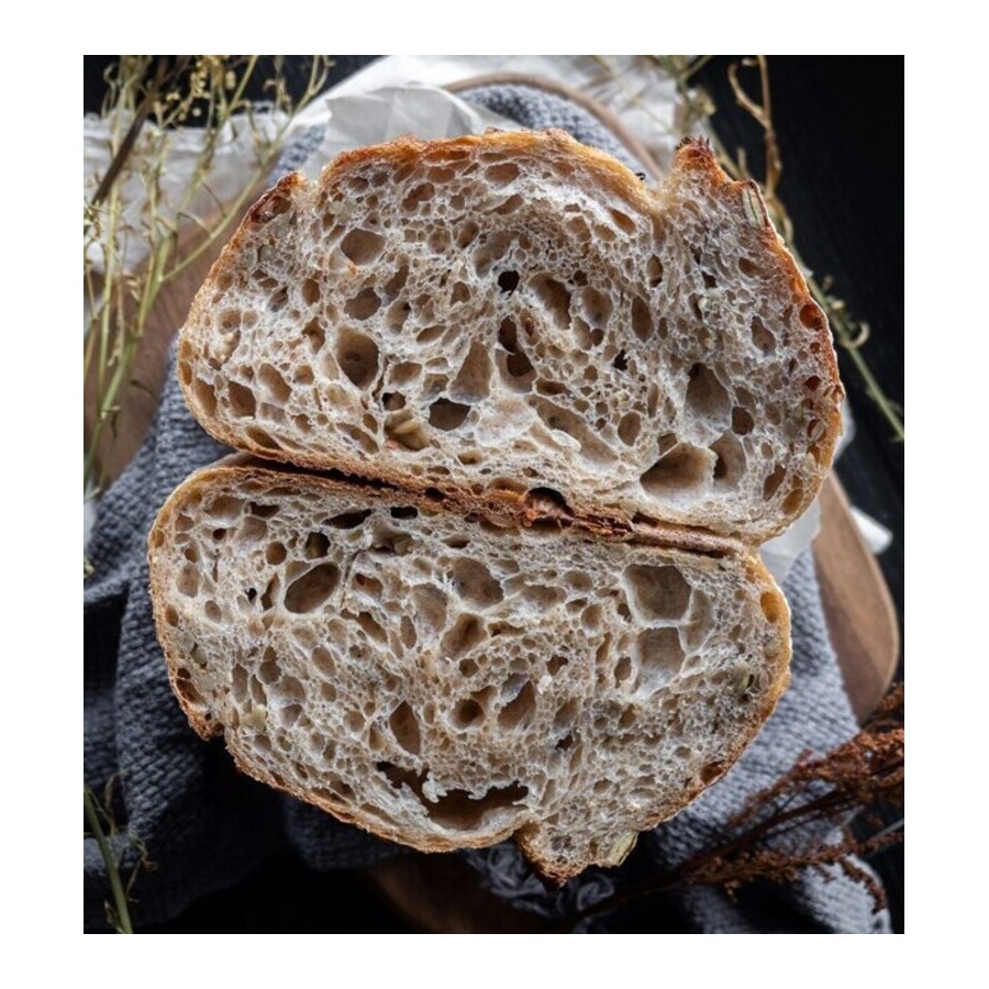 LEVADURA MADRE DESHIDRATADA B/1 KG