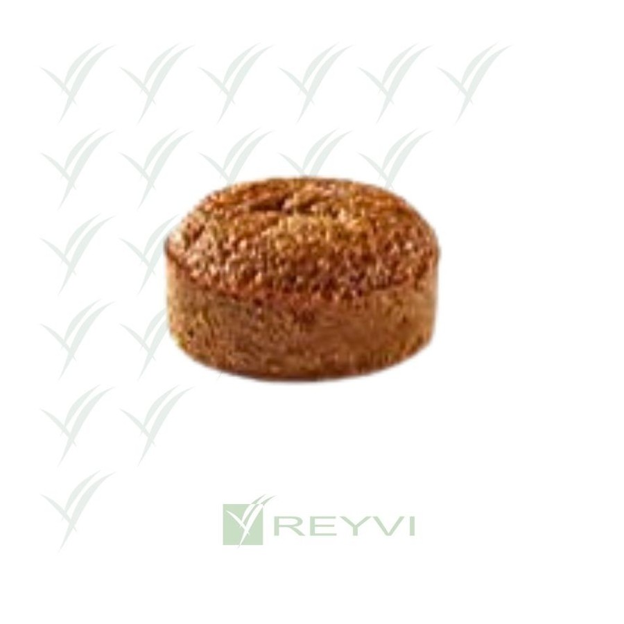 COULANT DULCE DE LECHE 97 GR C/ 23 UD