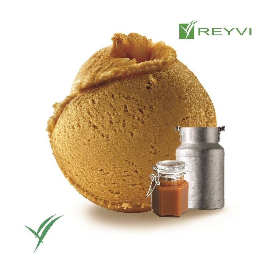 Helado artesano de dulce de leche con flor de sal 2,5 L – Textura suave y sabor delicado

