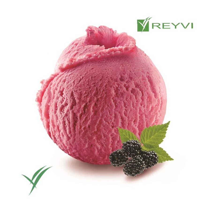 Sorbete artesano de mora 55 % fruta

