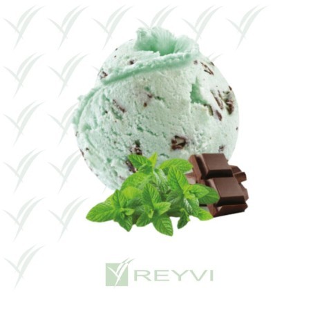 Helado artesano de chocolate con menta fresca

