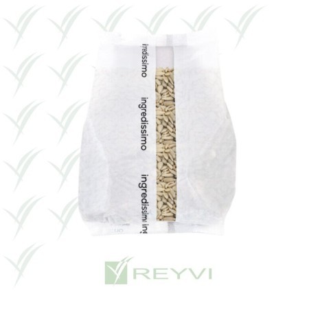 SEMILLA GIRASOL PANIF PQTE 1 KG (C/6)