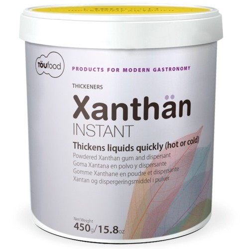 TOUFOOD INSTANT XANTHAN B/450 GR