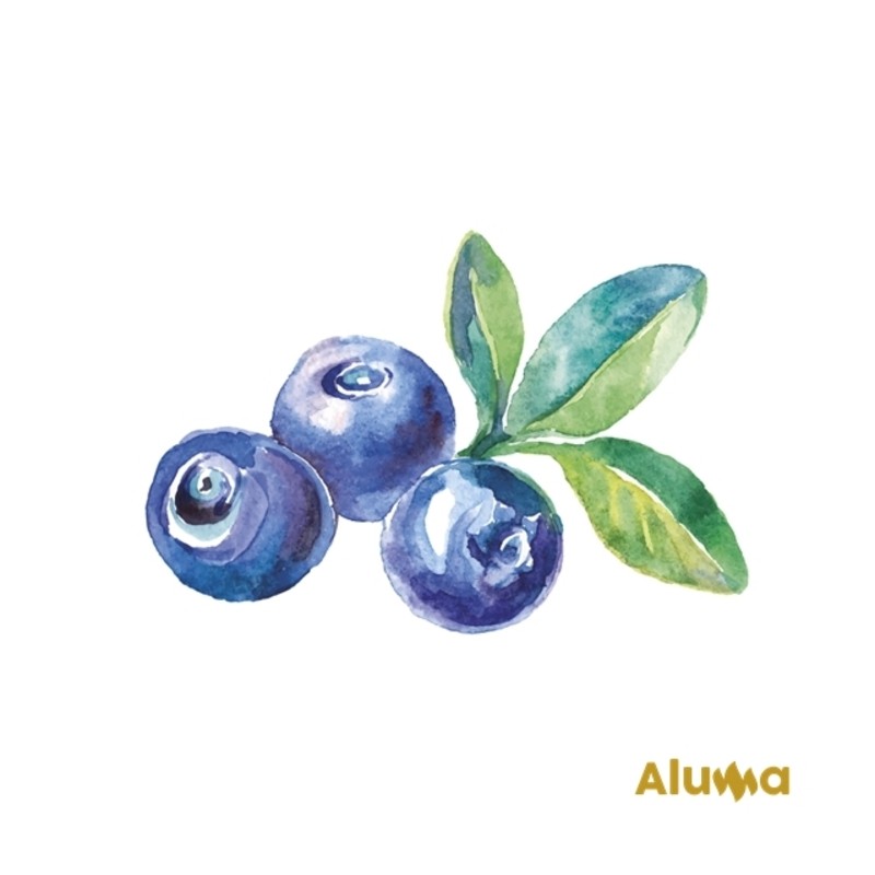 CUBO 6 KG RELLENO ARANDANOS ALUMA