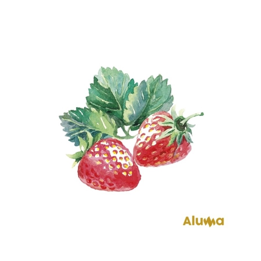 RELLENO FRESA 47% ALUMA B/1,3 KG