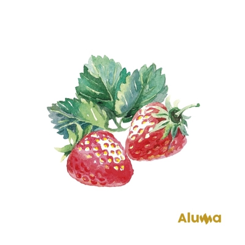 RELLENO FRESA 47% ALUMA B/1,3 KG