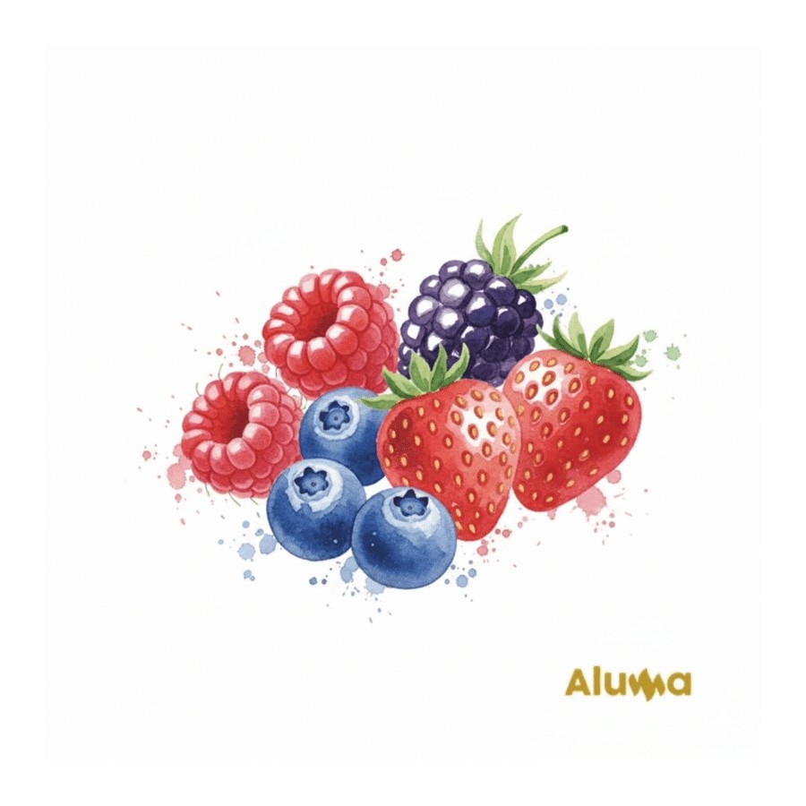 RELLENO FRUTAS DEL BOSQUE 35% ALUMA B/1.3 KG