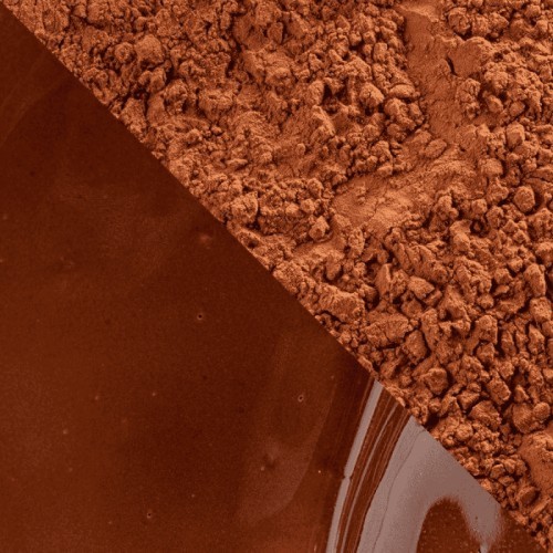 Botanical Extra Brute Callebaut | Cacao en polvo intenso | Bolsa 1 kg