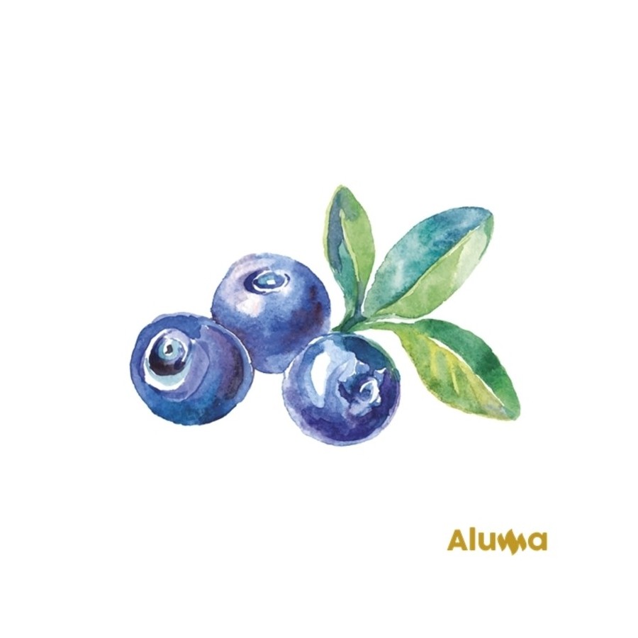 CUBO 6 KG RELLENO ARANDANOS ALUMA