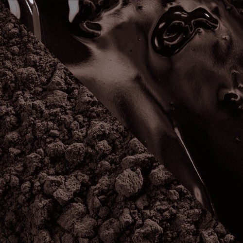 Botanical Noir Intense 1 kg Callebaut | Cacao en polvo tostado