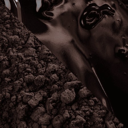 Botanical Noir Intense 1 kg Callebaut | Cacao en polvo tostado